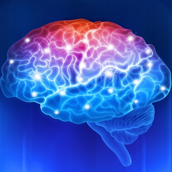Human-Brain-On-A-Blue-Background