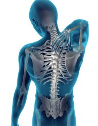 RSshutterstock_52418122-194×250 5 Instances When You Should Contact a Chiropractor Service